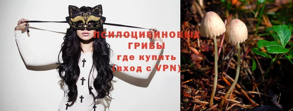 тгк Абаза