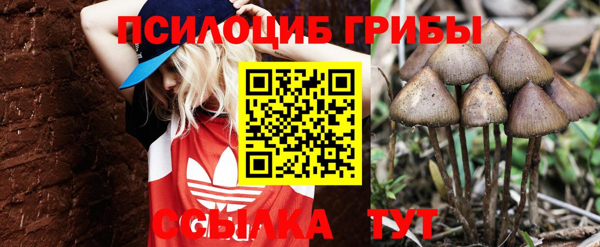 Псилоцибиновые грибы Magic Shrooms Торжок