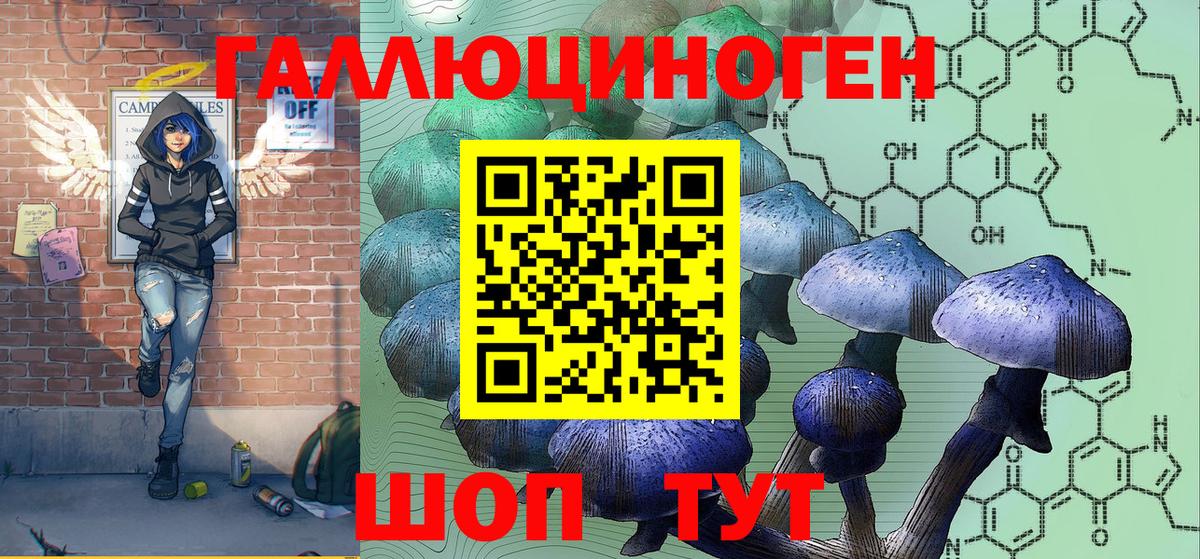 Галлюциногенные грибы GOLDEN TEACHER  Вход с VPN  Псилоцибиновые грибы прущие грибы  Торжок 