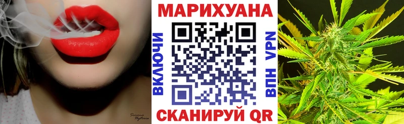 Конопля сатива как найти закладки Торжок